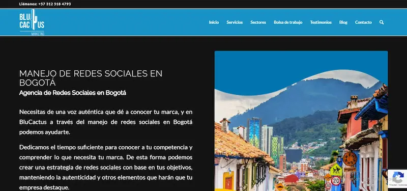 5 mejores agencias Social Media en Bogotá, Colombia Agencia BluCactus